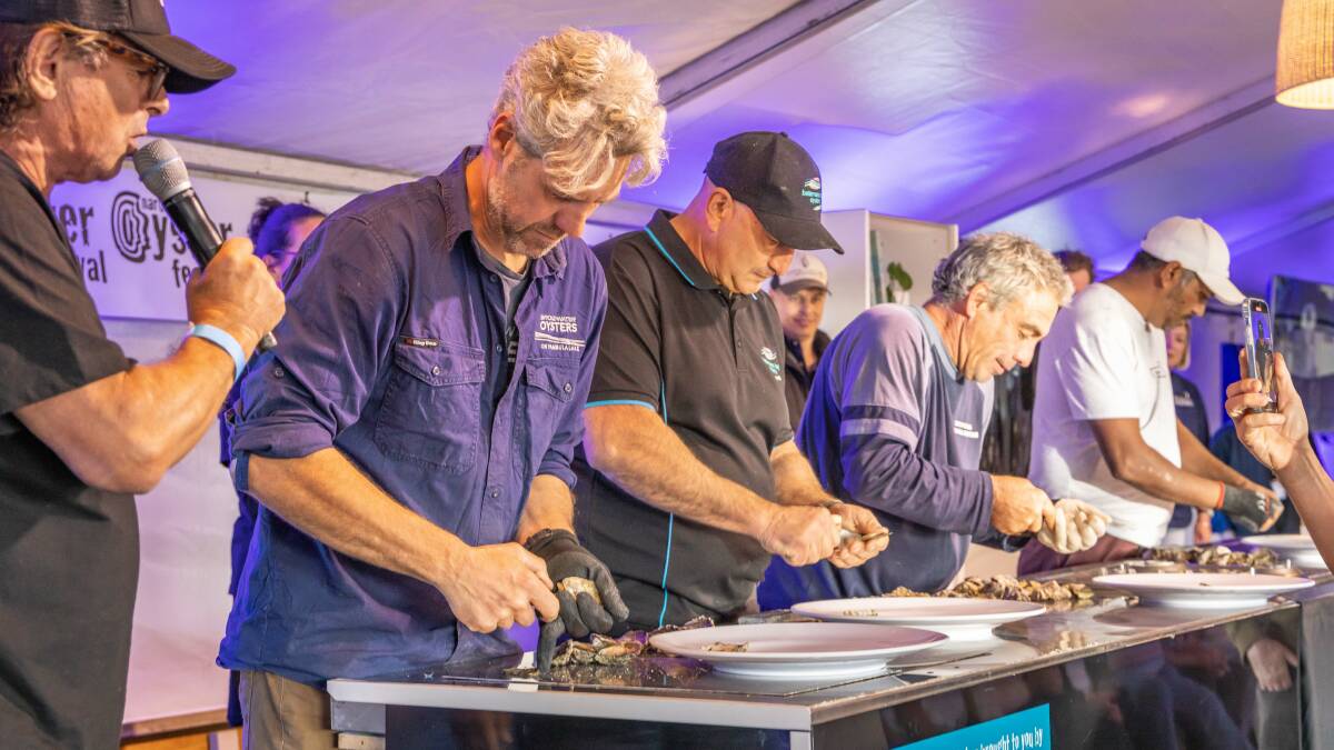 Shucking oysters at the 2022 Narooma Oyster Festival. Picture by David Rogers Photography