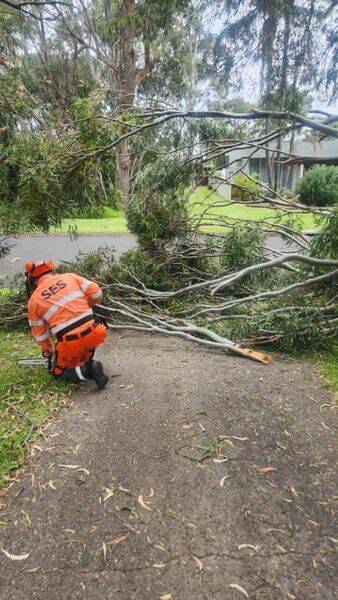 An SES worker responding to fallen trees in Ulladulla, NSW. Picture from SES NSW. 