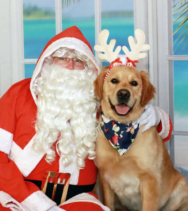 Santa poses with Zeus during the recent Santa Paws fundraiser for the Animal Welfare League Far South Coast branch. Picture supplied