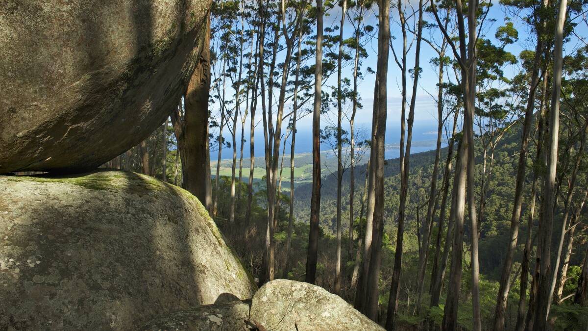 View from Gulaga. Picture by S Cohen