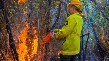 Forestry Corporation will begin a staged hazard reduction burn in the Nullica State Forest on Friday May 3. Picture supplied