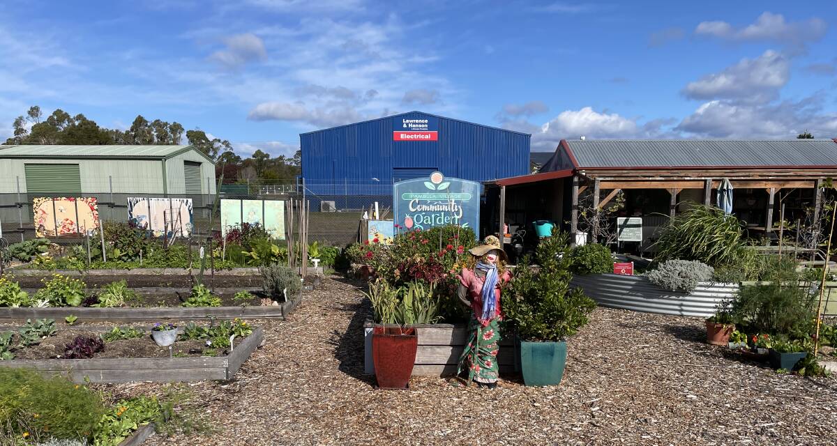 The Community Garden at Pambula. Picture by Denise Dion