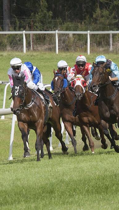 Tight grouping: The pack curls around the final bend at the Sapphire Turf Club during Boxing Day racing last year. 