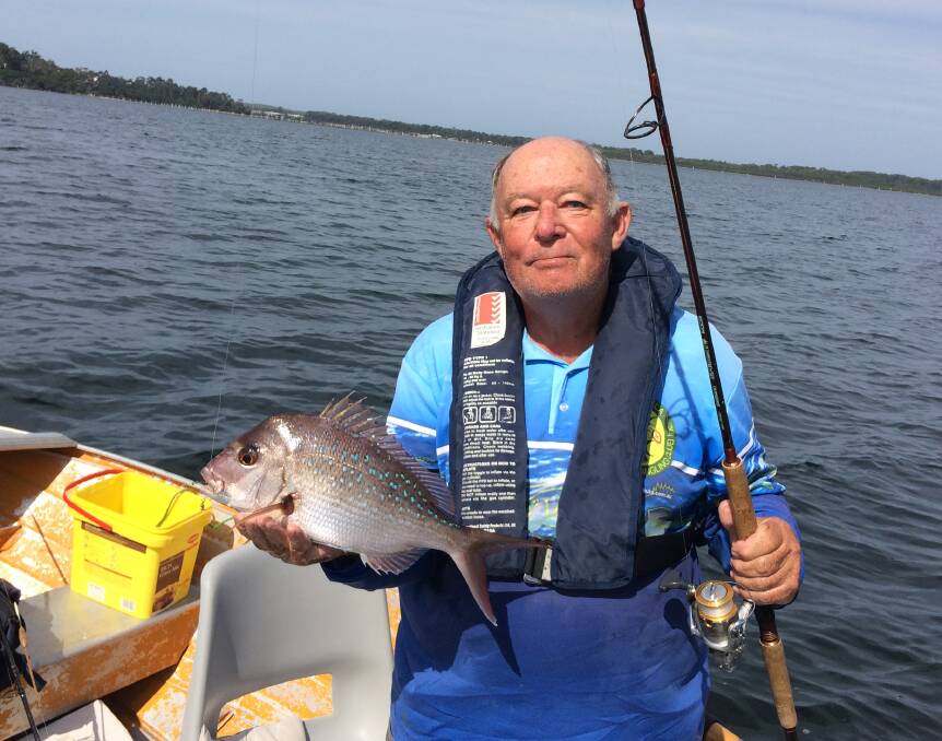 Fish dinner: Chris Young with a good size snapper taken in Merimbula Lake. 
